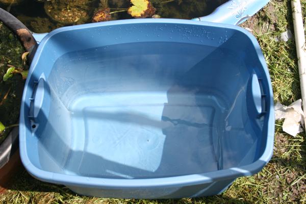 FreshWater