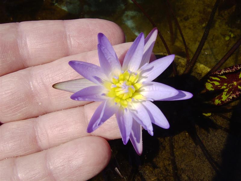 Sept_22_2007_n_3_Image026