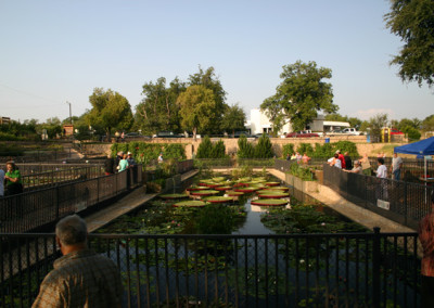 LilyFest 2007