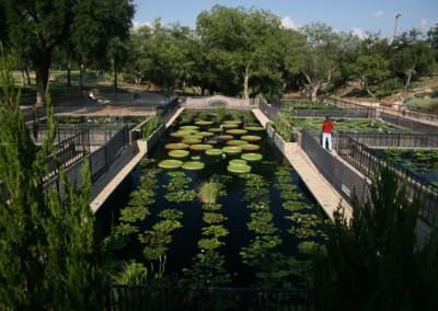 LilyFest 2007