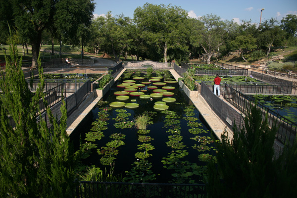 LilyFest 2007