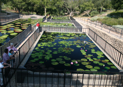 LilyFest 2007