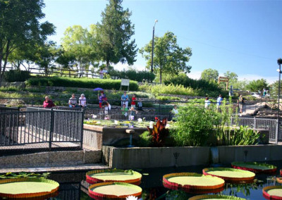 LilyFest 2008