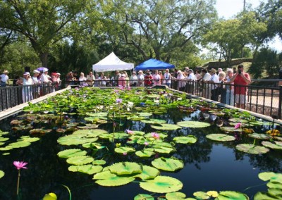 LilyFest 2008