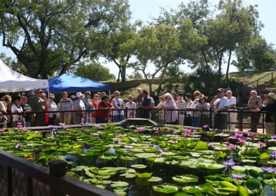 LilyFest 2008