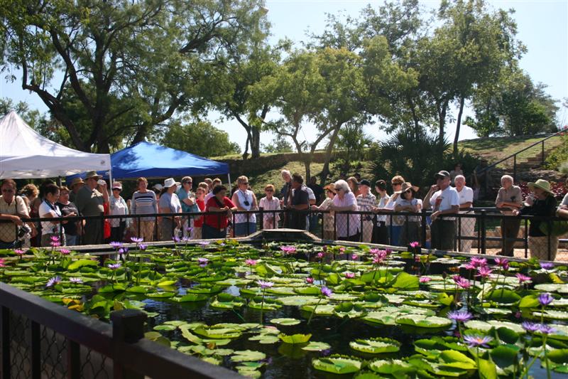 LilyFest 2008