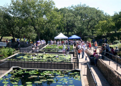 LilyFest 2008