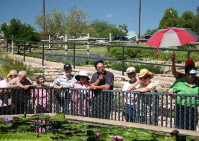 LilyFest 2008