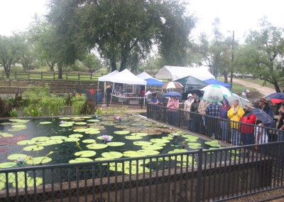 LilyFest 2009