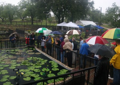 LilyFest 2009