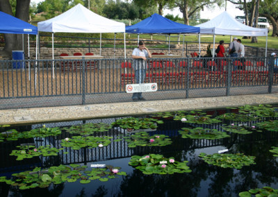 LilyFest 2007