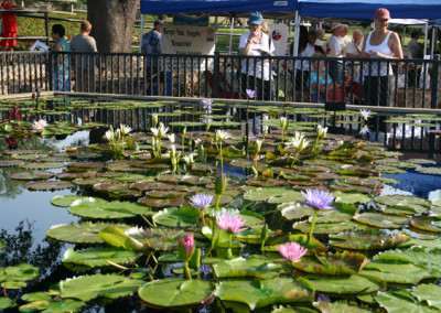 LilyFest 2007