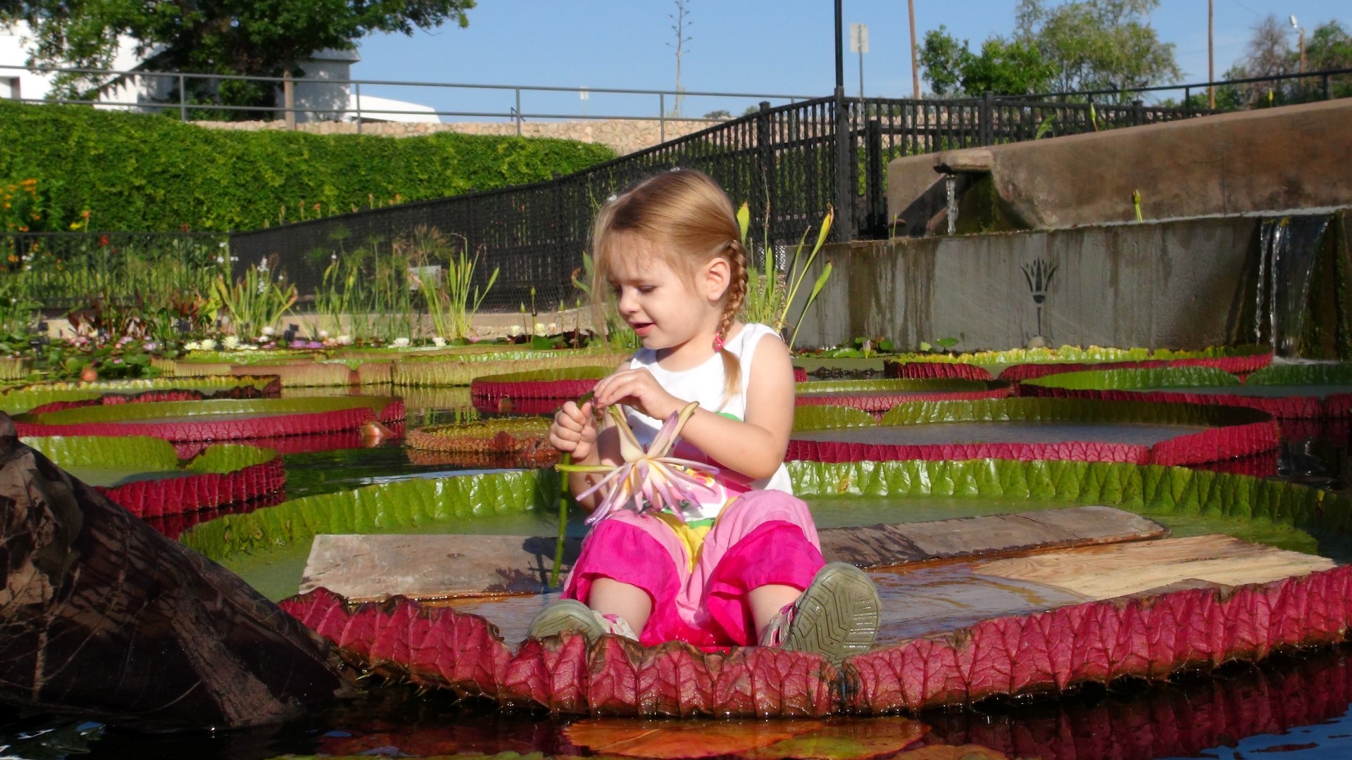 Allison at age 3 on Victoria at the IWC