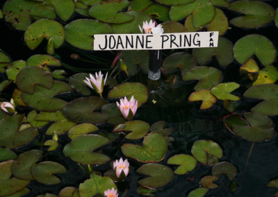 Nymphaea 'Joanne Pring'