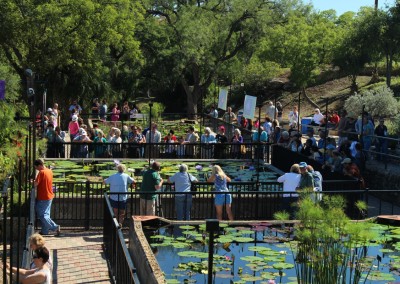 LilyFest 2013