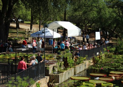 LilyFest 2013