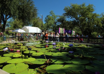 LilyFest 2013