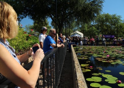 LilyFest 2013