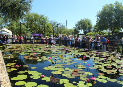 LilyFest 2013