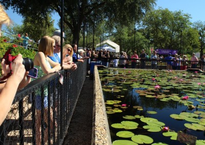 LilyFest 2013