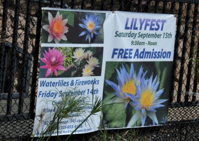 LilyFest 2012