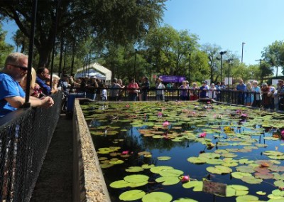 LilyFest 2013