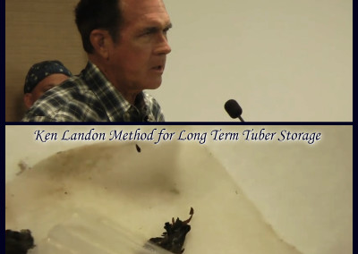 Ken Landon Method for Long Term Tuber Storage