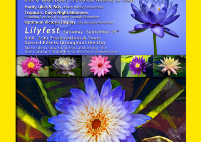 2015 LilyFest Poster