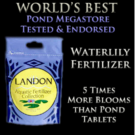 Landon Aquatic Fertilizer 7803 12–20–8