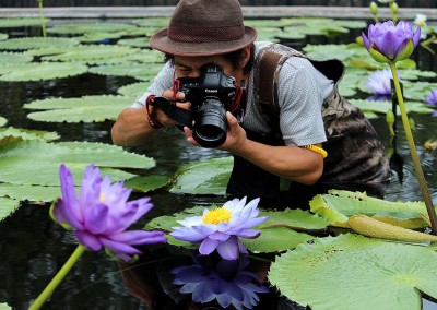 LilyFest 2012