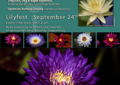 LilyFest 2016 News & Updates