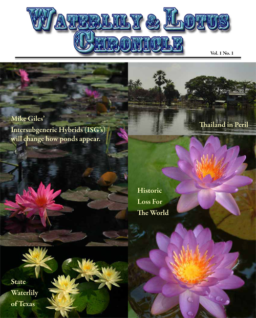 Waterlily & Lotus Chronicle