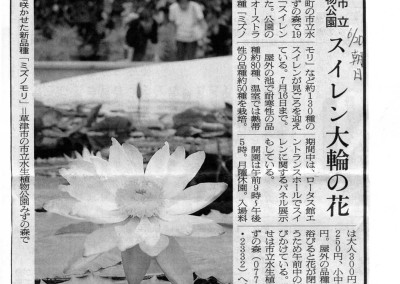 articles on N. Mizu-no-Mori.