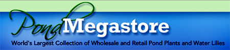 pondMegastoreLogo